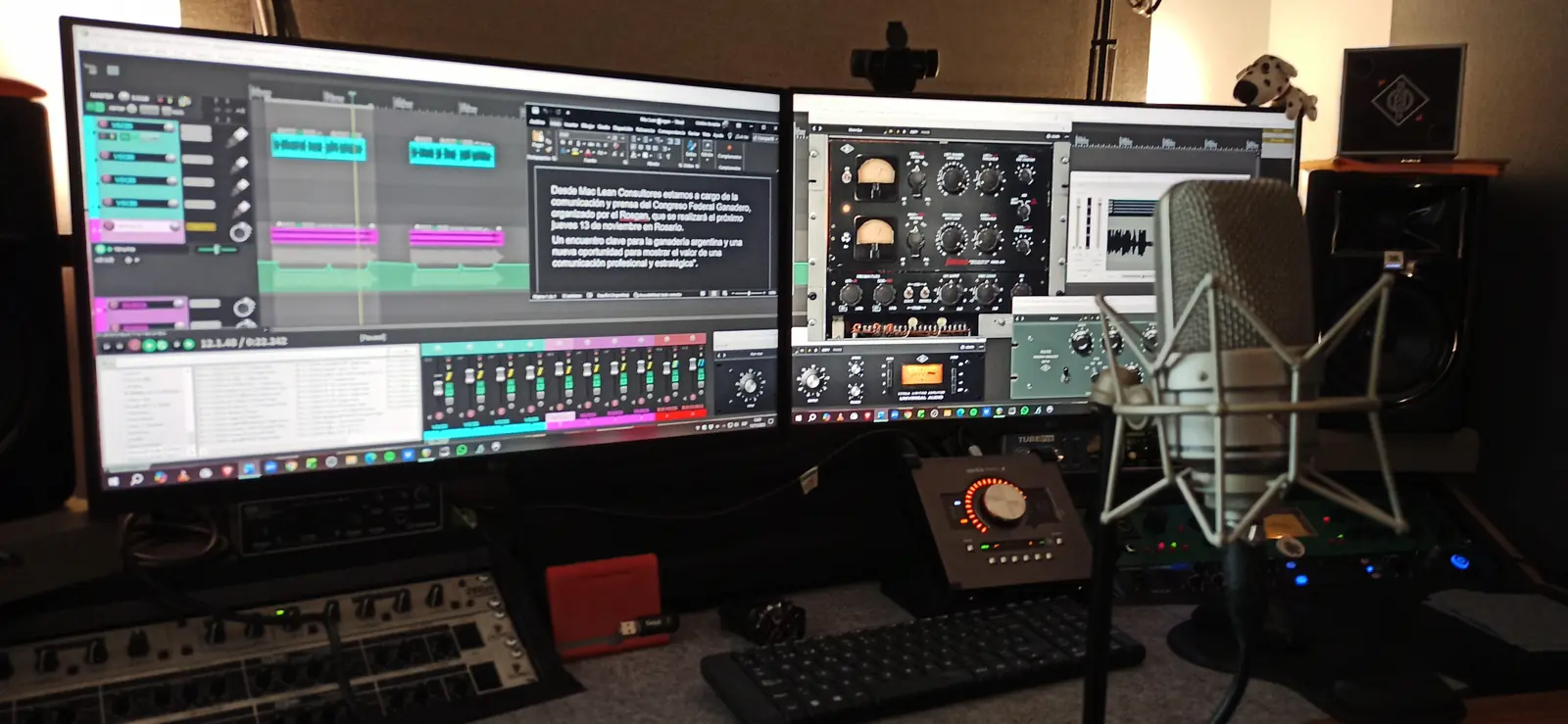 Estudio de grabación de Cristian Borzatto con microfono Neumann TLM 49 y Plugins Uadio